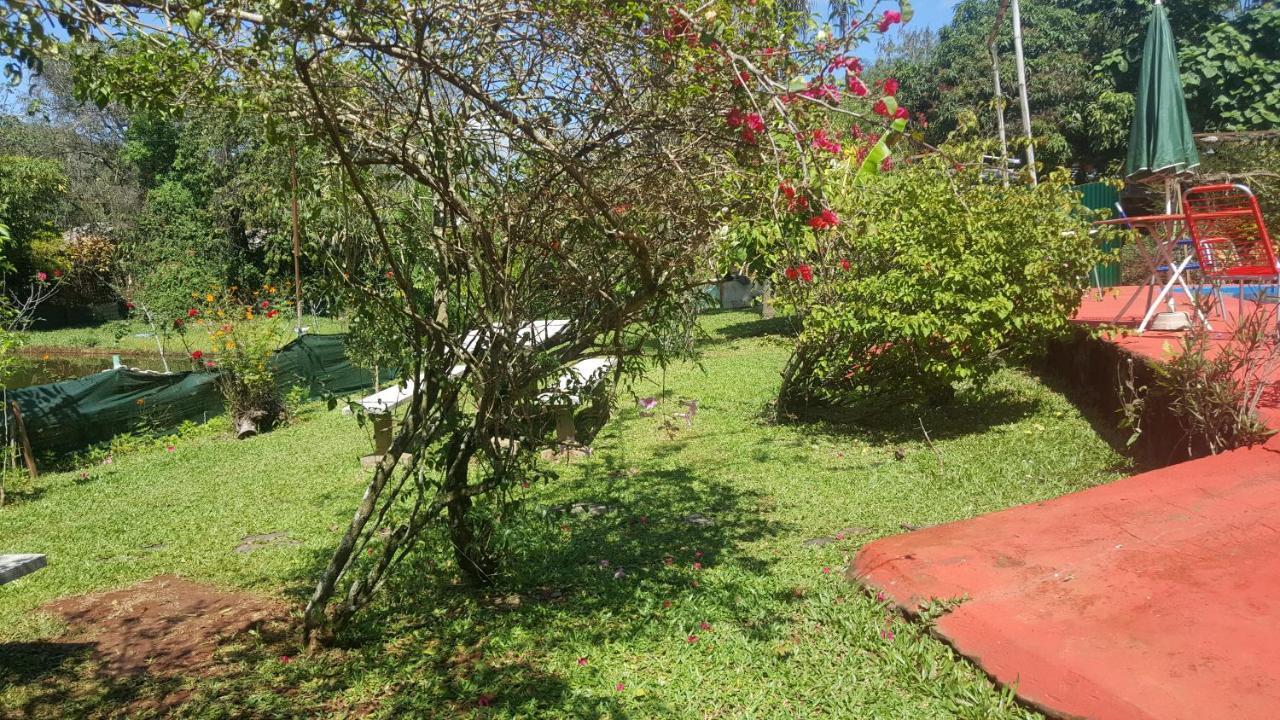 Hotel Y Residencial Amigos Puerto Iguazu Exterior photo